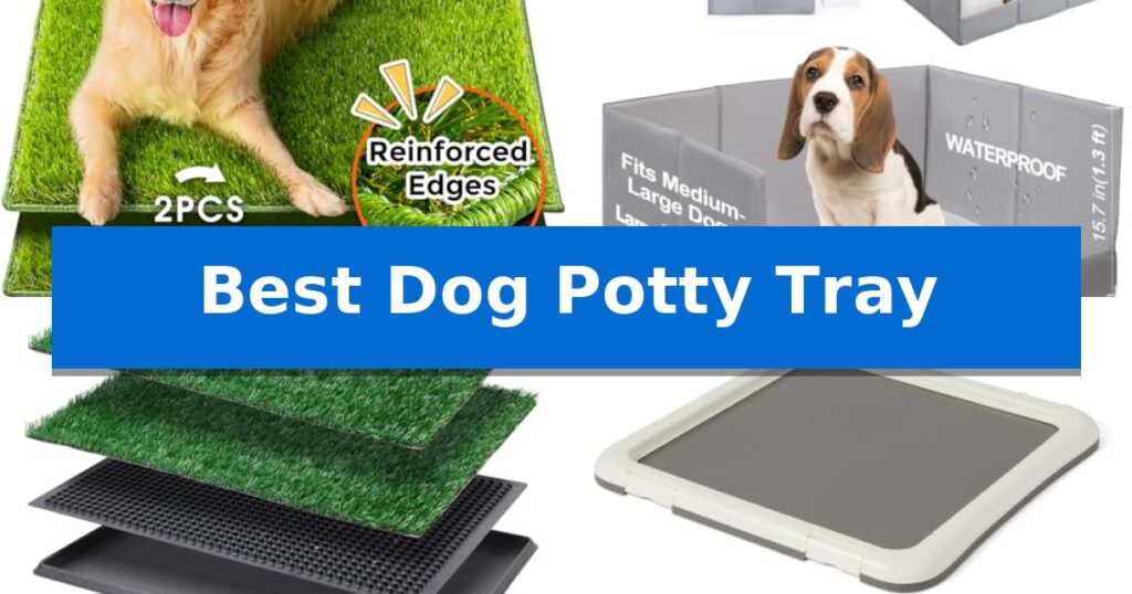 Best Dog Potty Tray