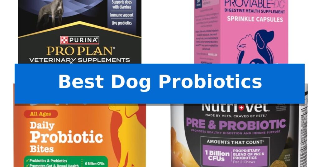 Best Dog Probiotics