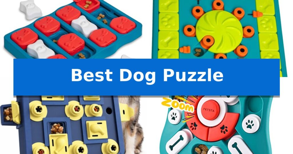 Best Dog Puzzle