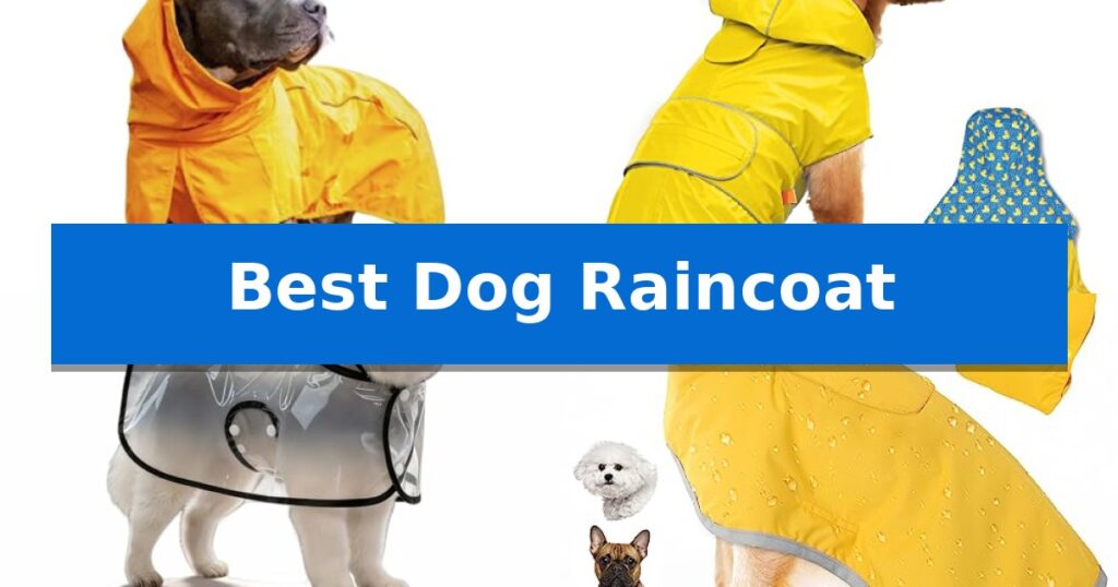 Best Dog Raincoat