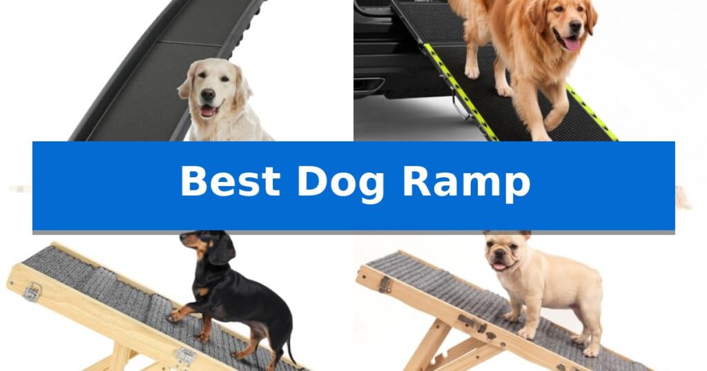 Best Dog Ramp