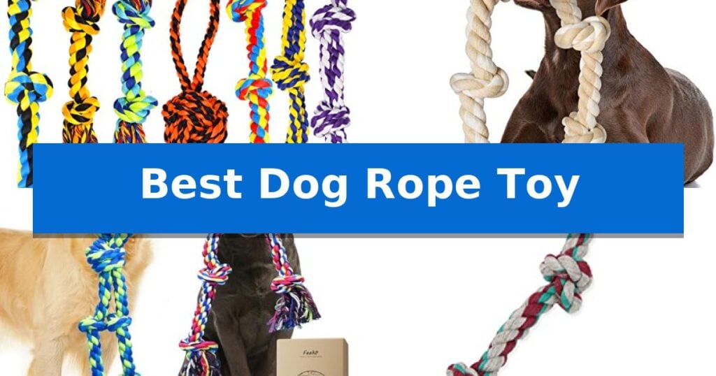 Best Dog Rope Toy