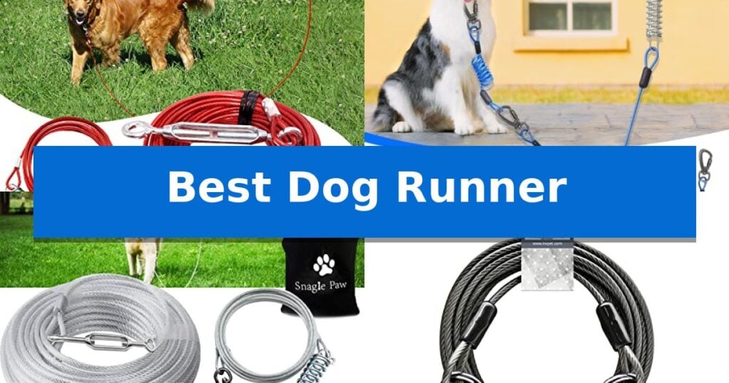 Best Dog Runner