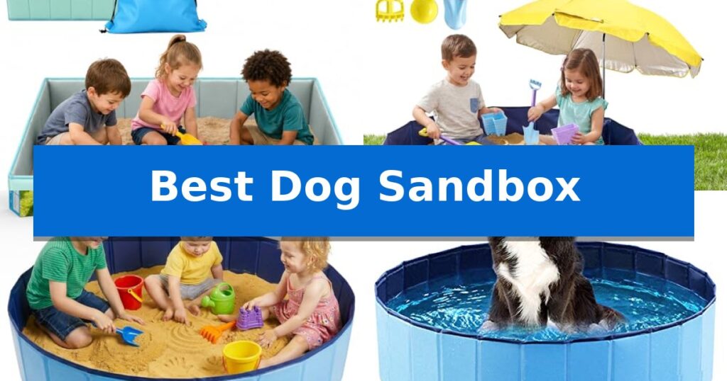 Best Dog Sandbox