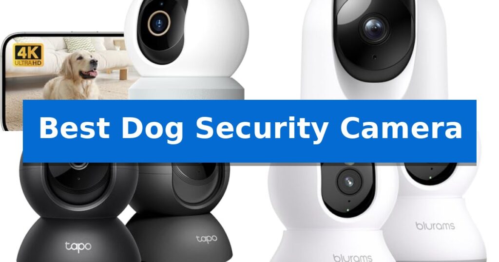 Best Dog Security Camera
