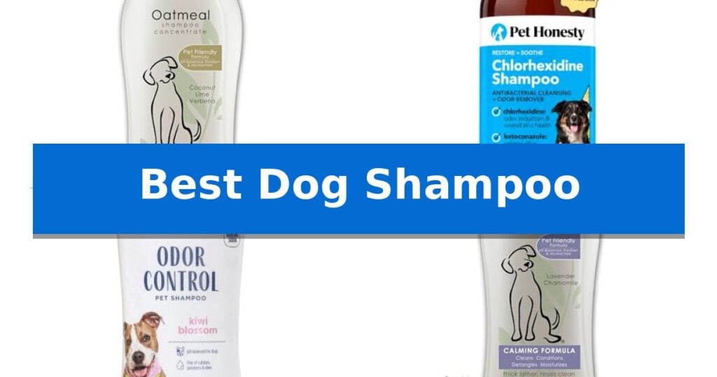 Best Dog Shampoo