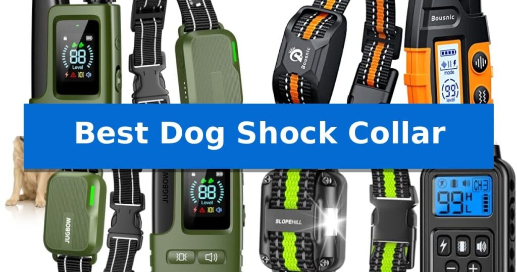 Best Dog Shock Collar