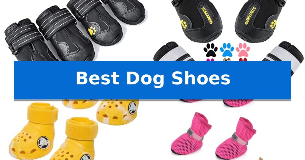 Best Dog Shoes
