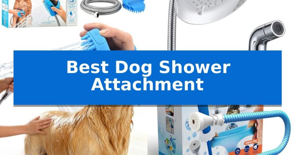 Best Dog Shower Attachment