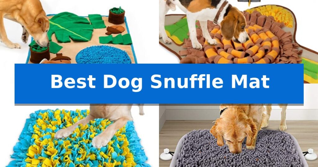 Best Dog Snuffle Mat
