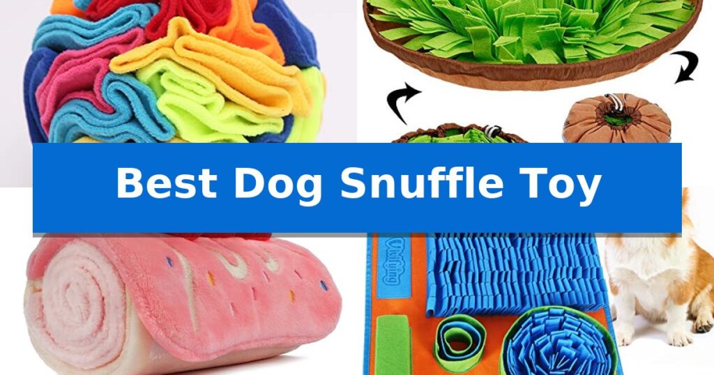 Best Dog Snuffle Toy