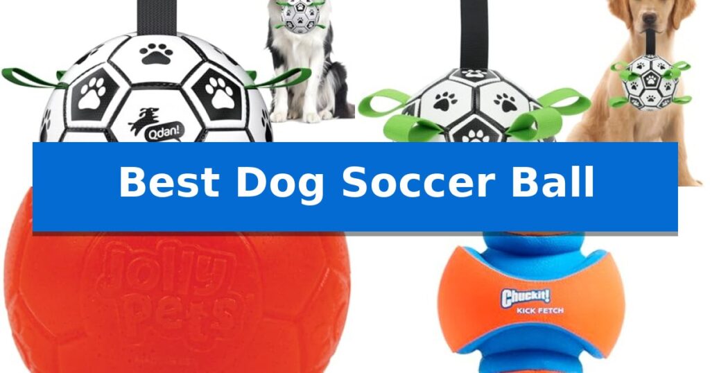 Best Dog Soccer Ball