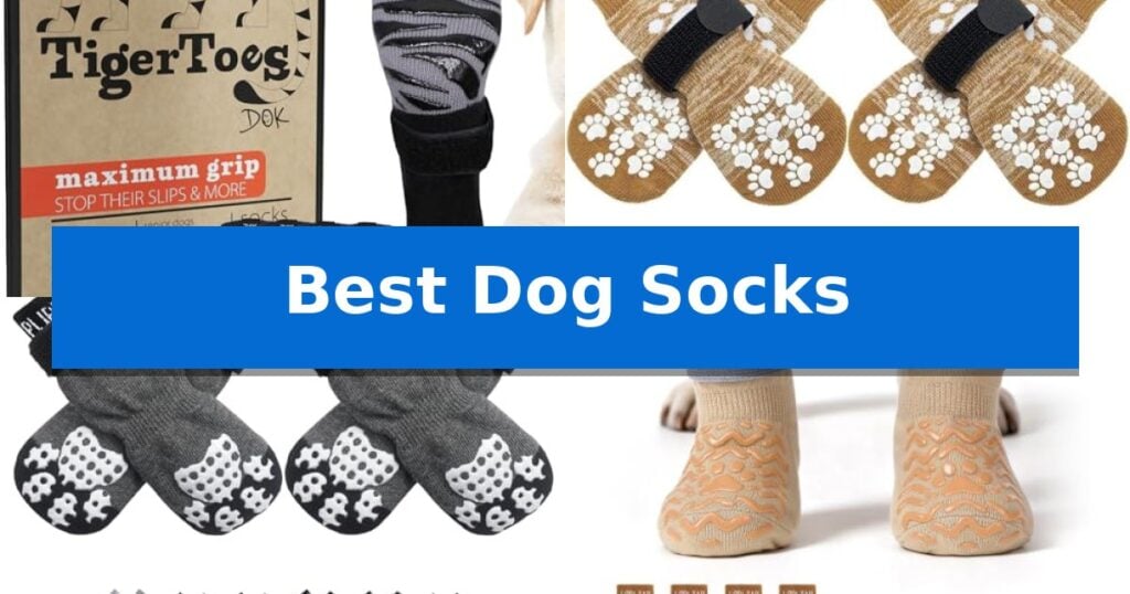 Best Dog Socks