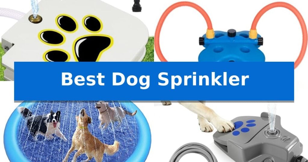 Best Dog Sprinkler