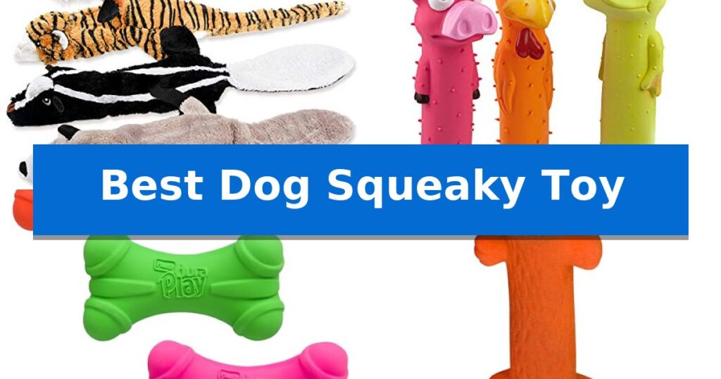 Best Dog Squeaky Toy