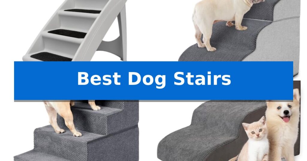 Best Dog Stairs