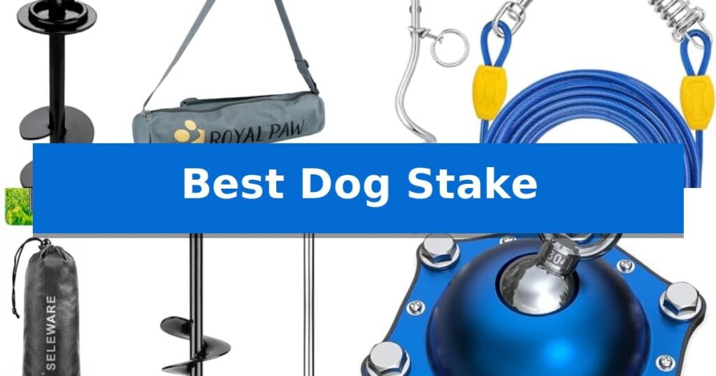 Best Dog Stake