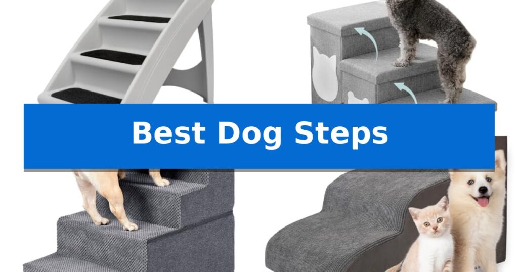 Best Dog Steps