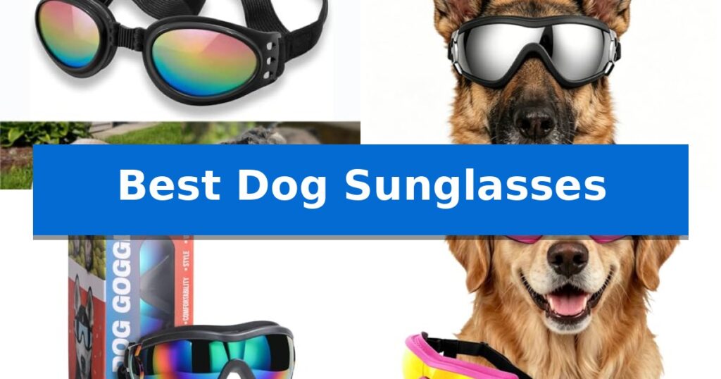 Best Dog Sunglasses