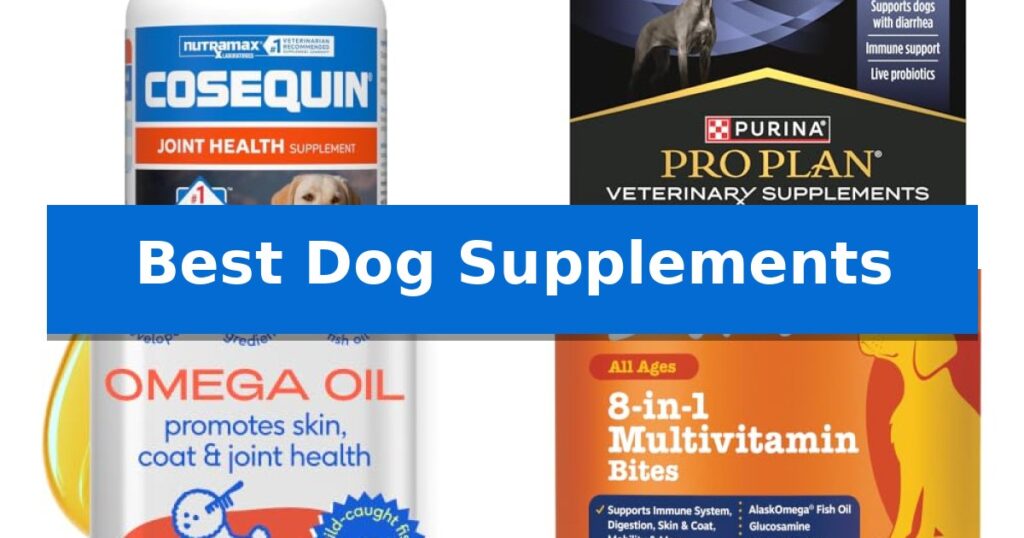 Best Dog Supplements