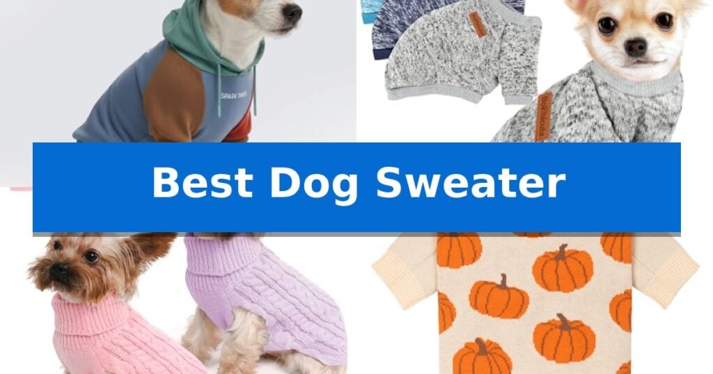 Best Dog Sweater