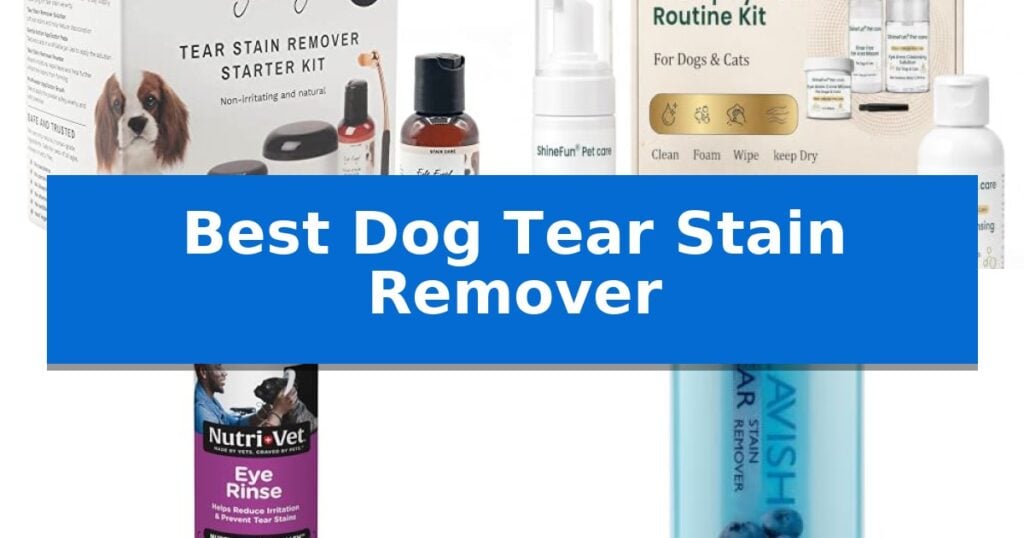 Best Dog Tear Stain Remover