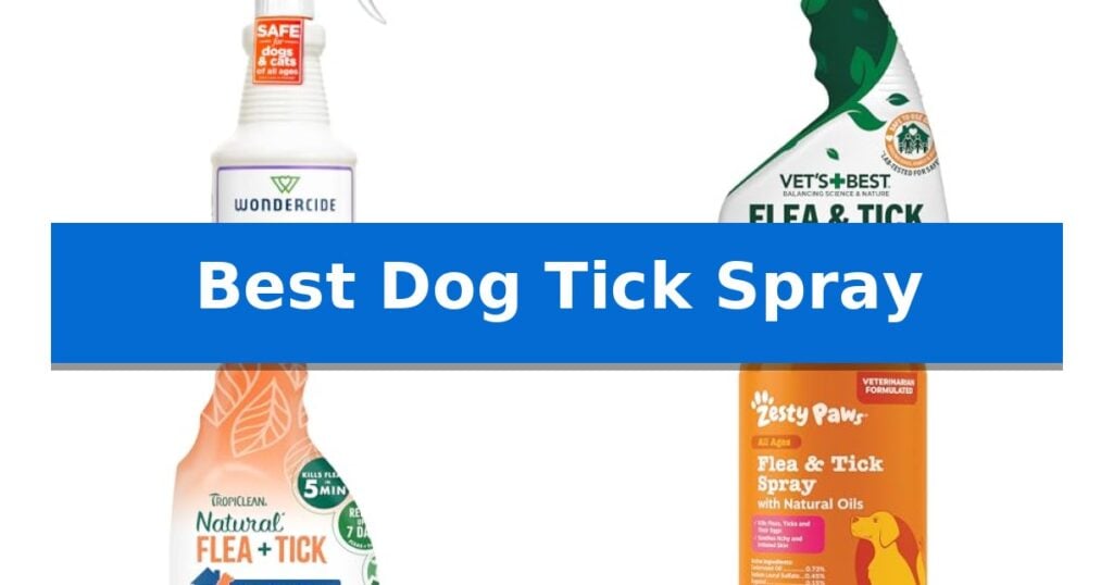 Best Dog Tick Spray