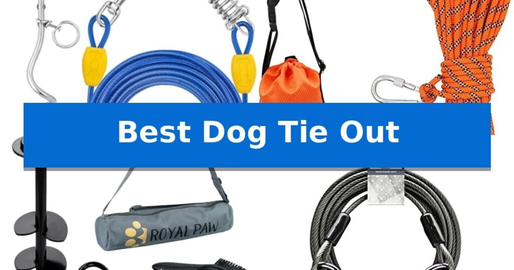 Best Dog Tie Out