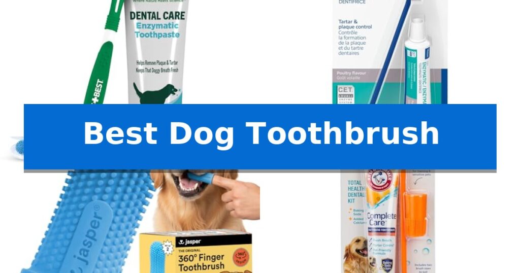 Best Dog Toothbrush