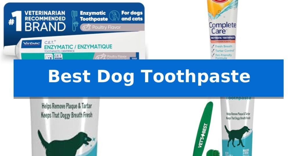 Best Dog Toothpaste