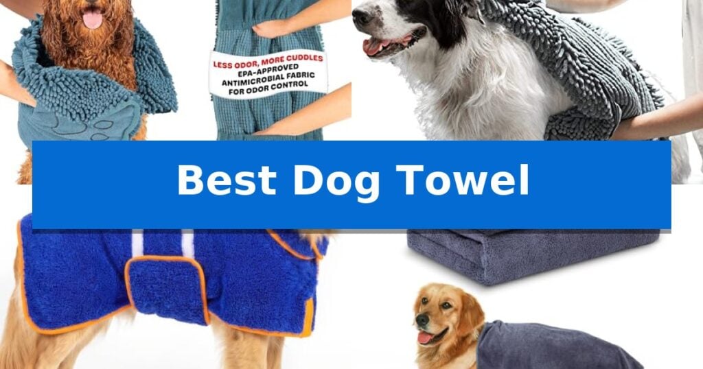 Best Dog Towel