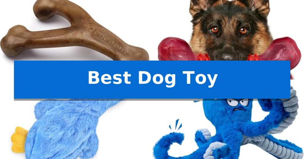 Best Dog Toy