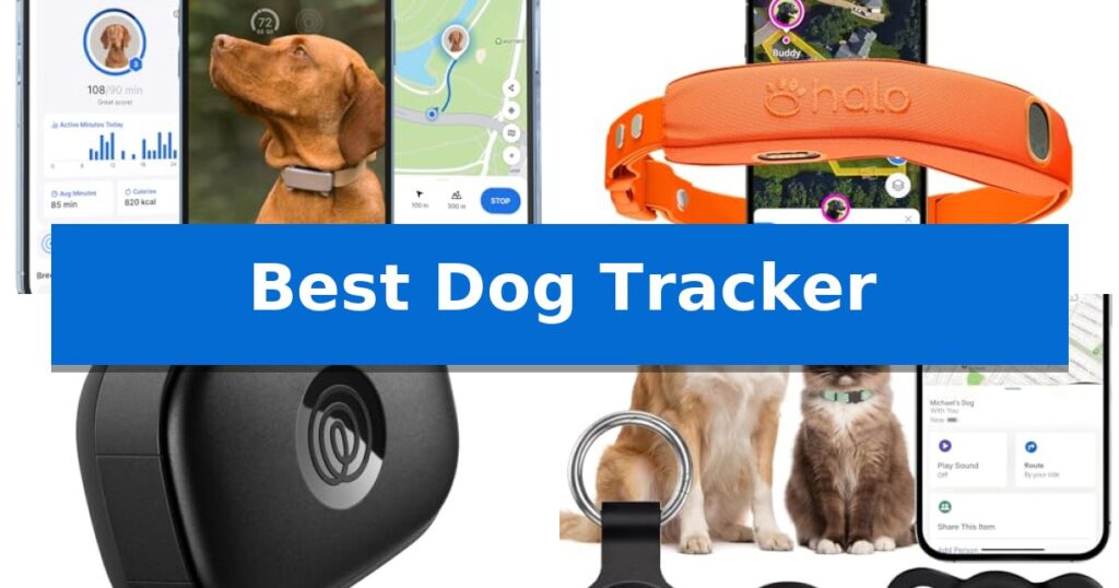 Best Dog Tracker