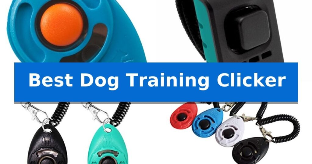 Best Dog Training Clicker