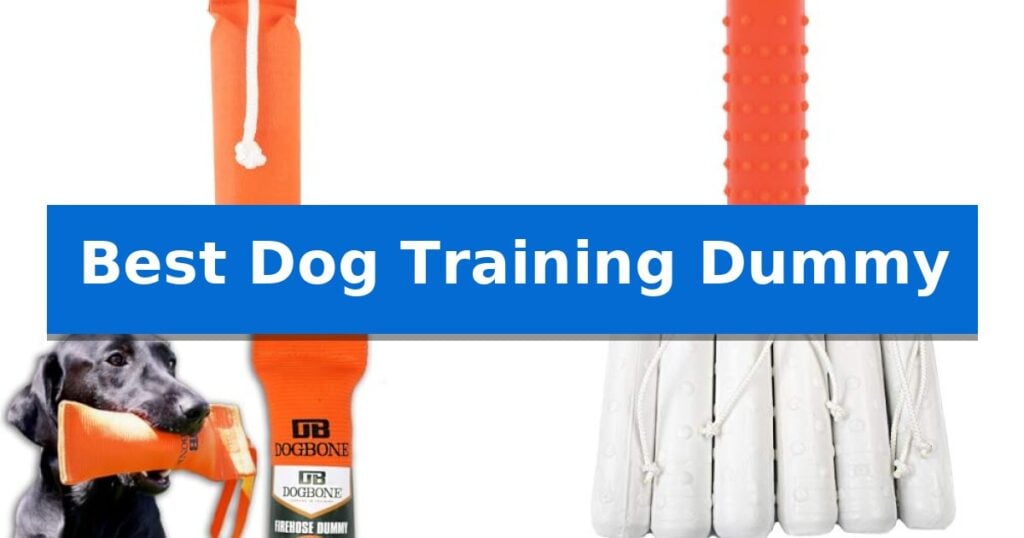 Best Dog Training Dummy