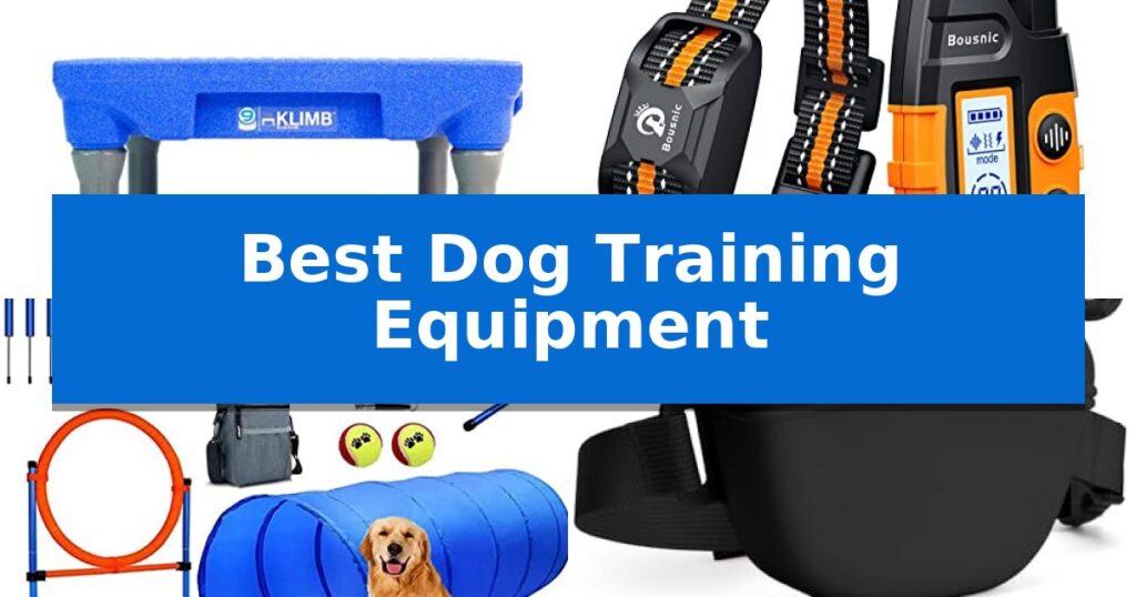 Best Dog Training Equipment