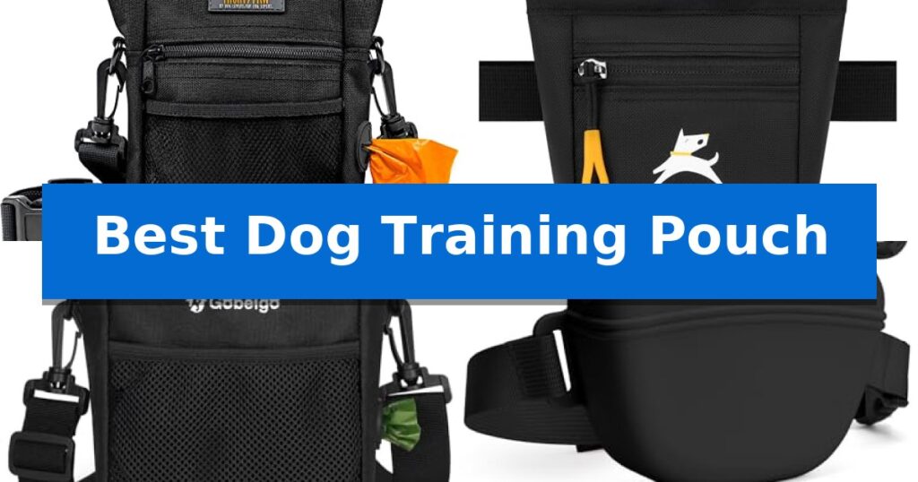 Best Dog Training Pouch