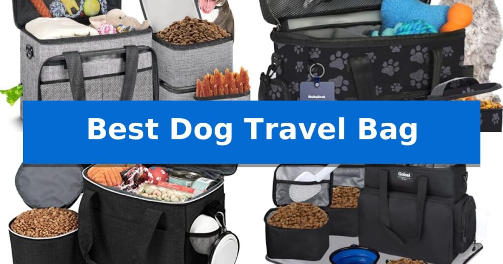 Best Dog Travel Bag