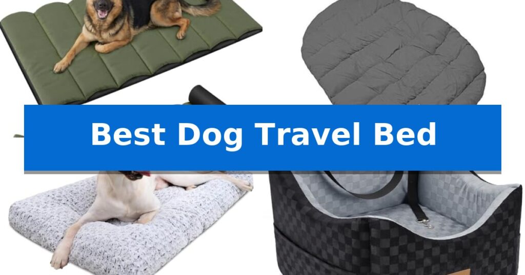 Best Dog Travel Bed