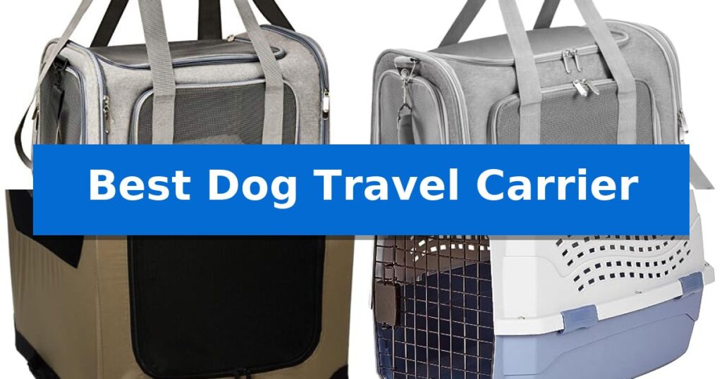 Best Dog Travel Carrier