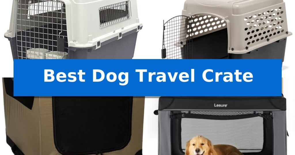 Best Dog Travel Crate