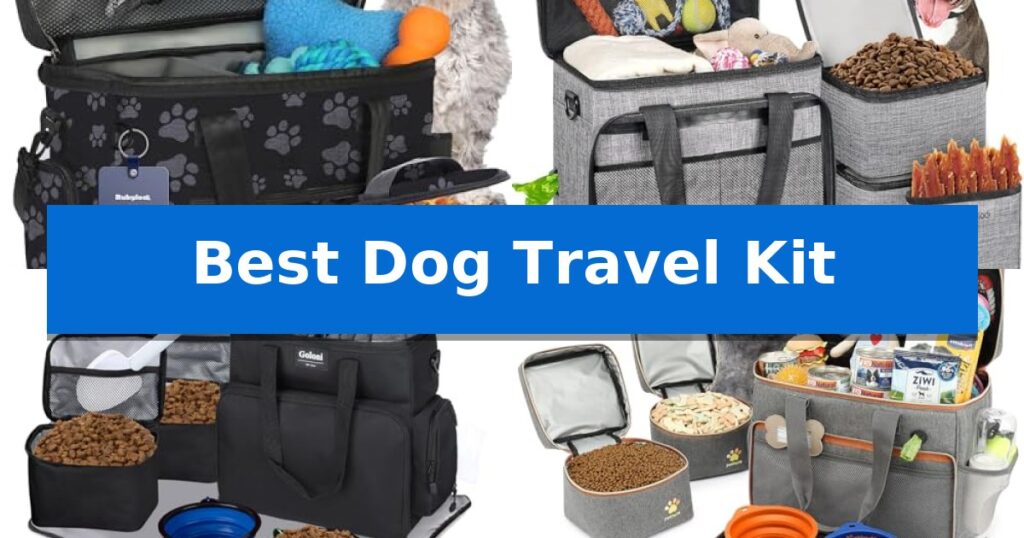 Best Dog Travel Kit