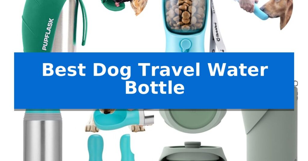 Best Dog Travel Water Bottle