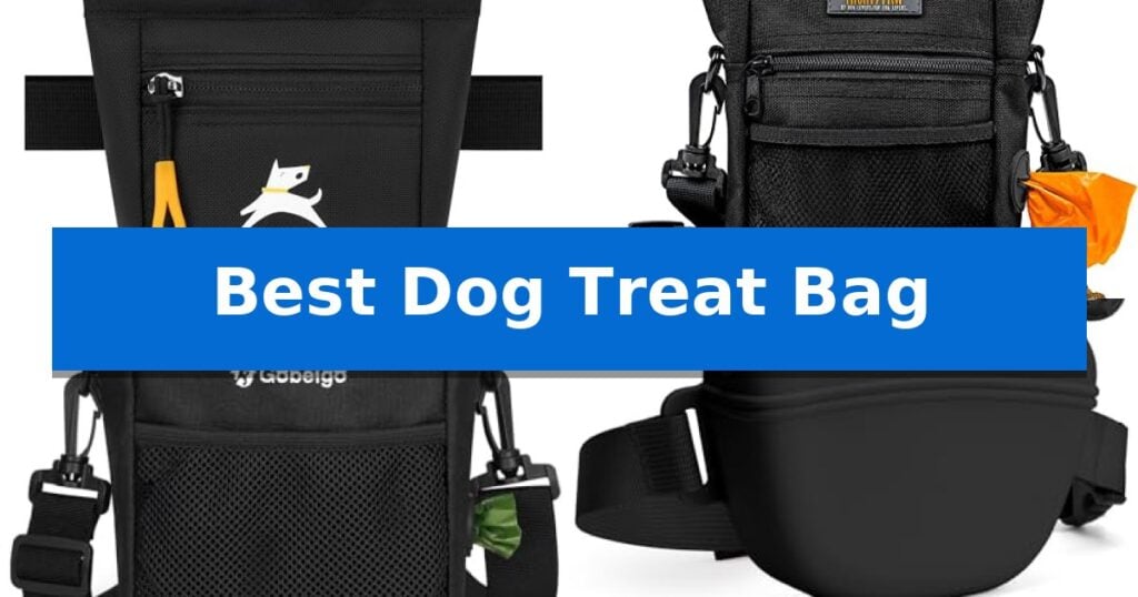 Best Dog Treat Bag