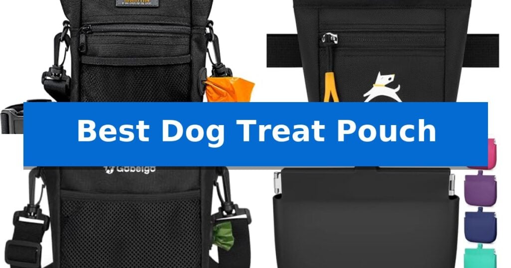 Best Dog Treat Pouch