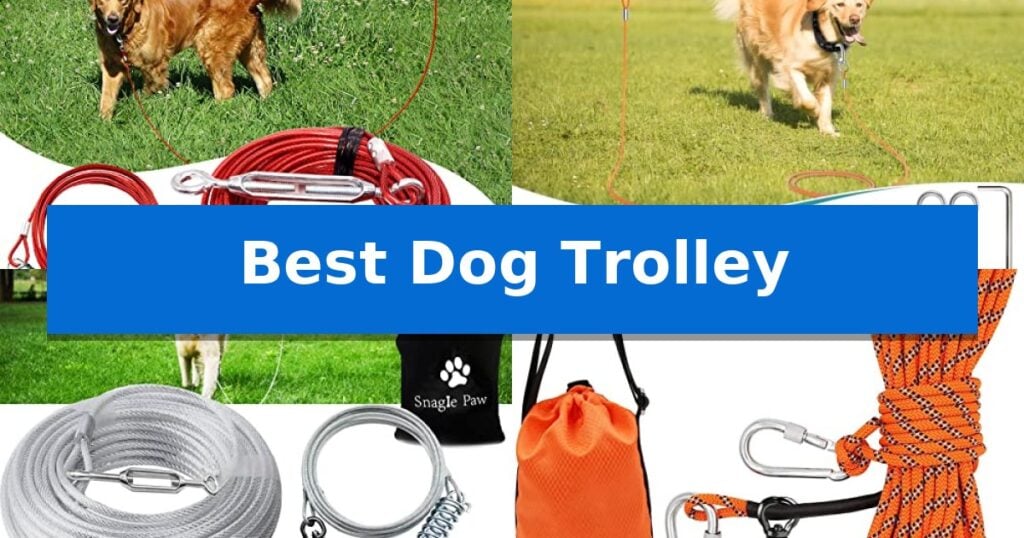 Best Dog Trolley
