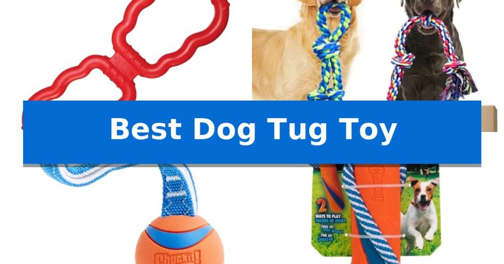 Best Dog Tug Toy
