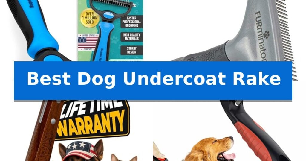 Best Dog Undercoat Rake