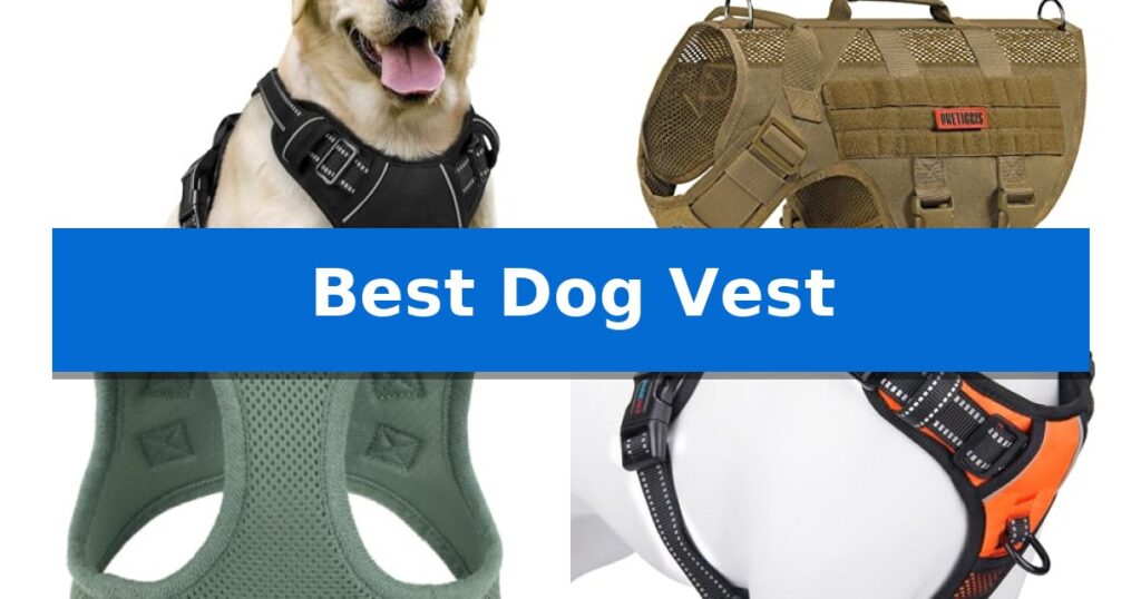 Best Dog Vest