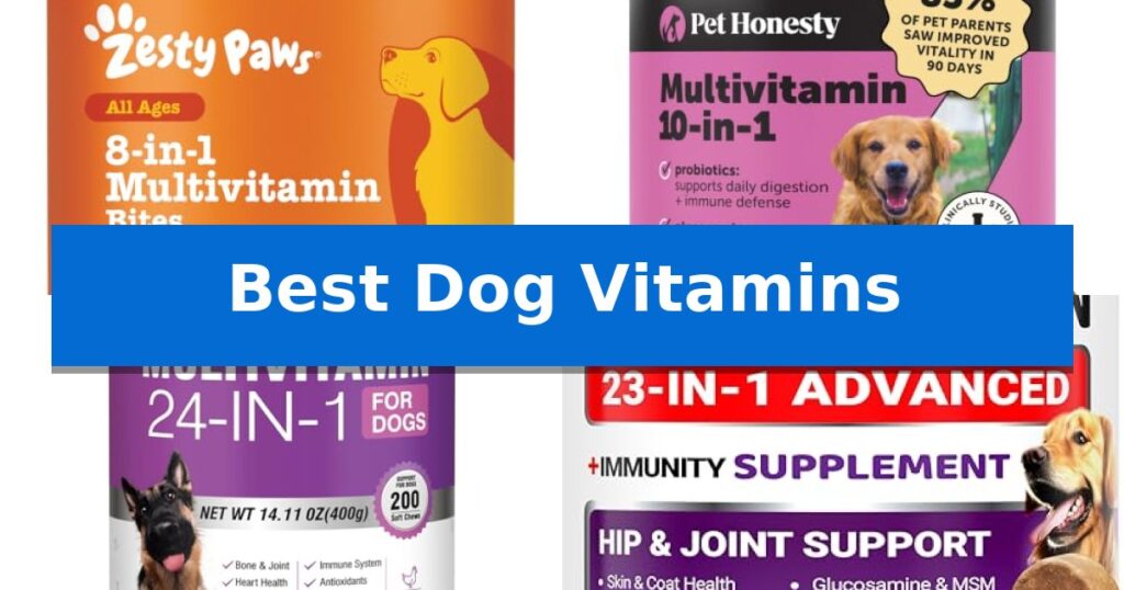Best Dog Vitamins